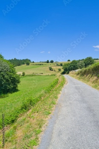 Obraz 길거리, 경관, sky, 네이처, 들판, 목초, 농촌, 경로, 국가, 시골, green, 여름, 목초지, 나무, 구름, 때, 여행, 경작, 수평선, 대지, 길, 고개, 경치