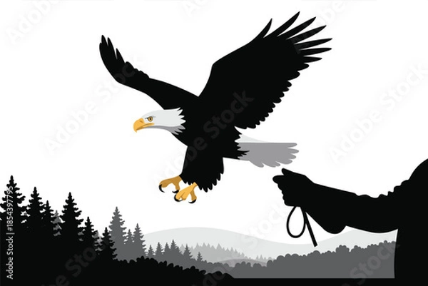 Obraz Bald Eagle Taking Flight from Handler in Forest Landscape, freedom symbol concept