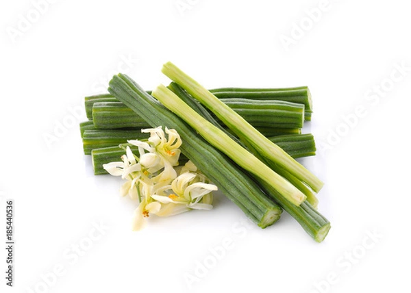 Fototapeta Moringa oleifera fresh on a white background.