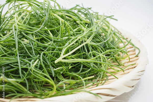 Obraz おかひじき