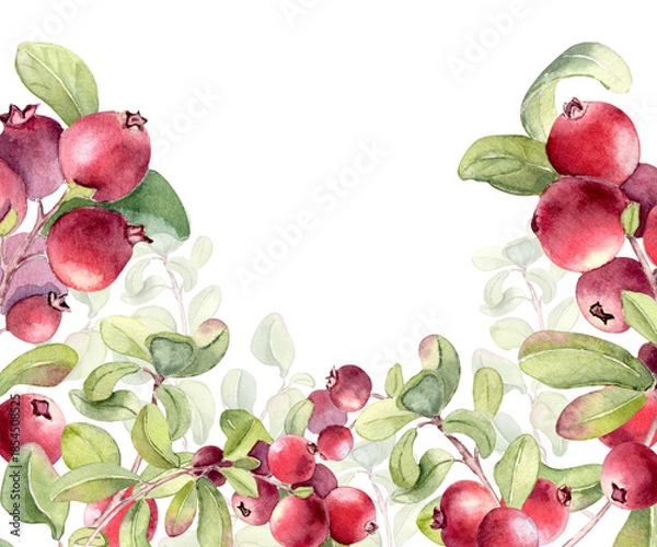 Obraz Lingonberry and cranberry watercolor frame border on white background. Fresh ripe red fruits on branches plant for food product packaging, or recipe card design. Superfood berries hand painted.