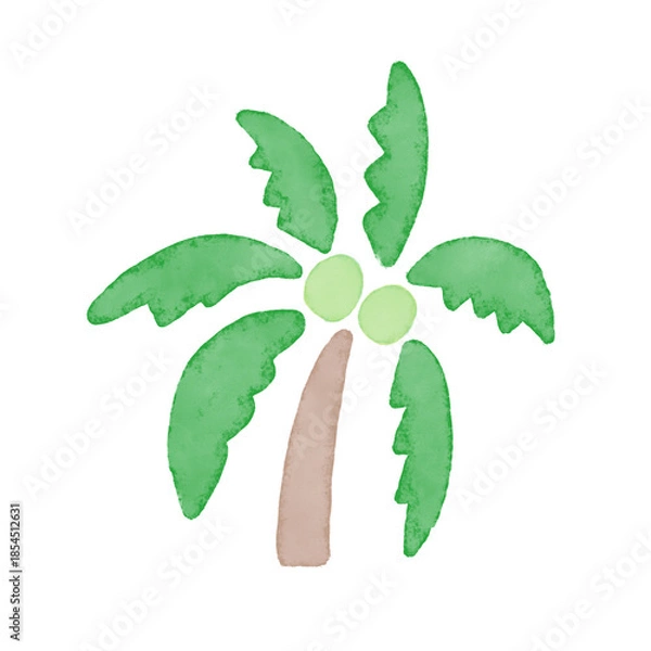 Obraz 夏の手描き水彩イラスト。旅行やビーチ・リゾートのコンセプト。二つの実があるココヤシの木