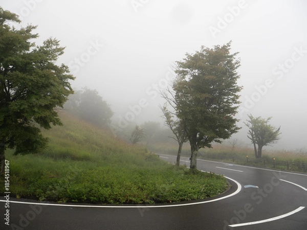 Obraz 曇りのカーブ