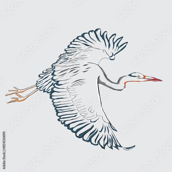 Obraz heron in flight
