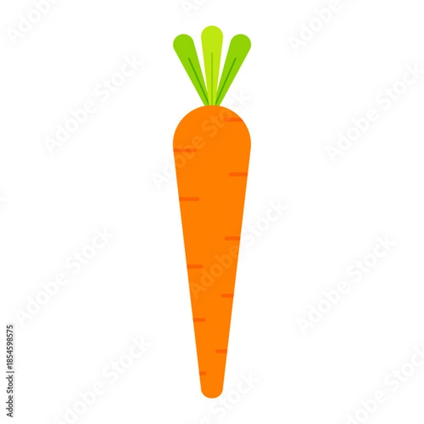 Obraz Flat carrot icon simple vegetable illustration isolated on transparent background.