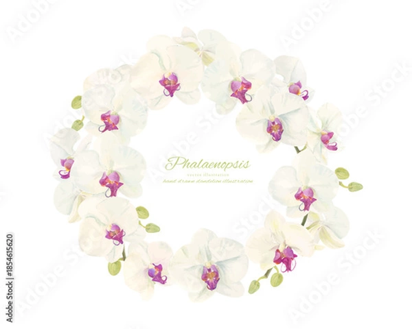 Obraz 水彩で描いた胡蝶蘭のイラスト