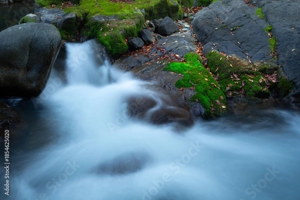 Obraz 晩秋を流れる沢