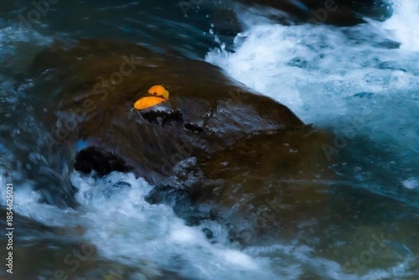 Obraz 晩秋を流れる沢