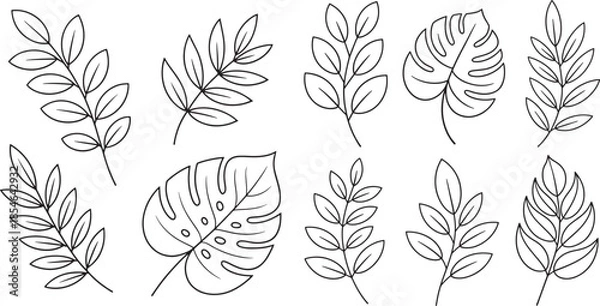 Obraz Minimal Botanical Line Art Leaf Bundle