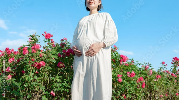 Obraz お腹を触る妊婦