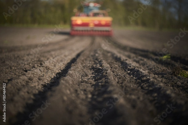 Obraz Red tractor plow field