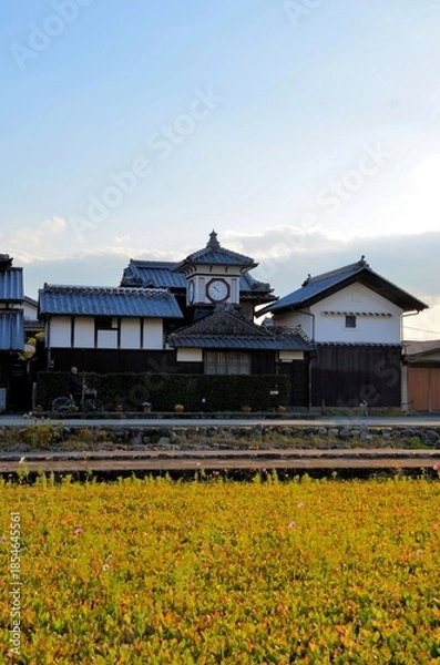 Fototapeta 野良時計