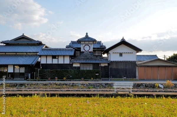 Fototapeta 野良時計