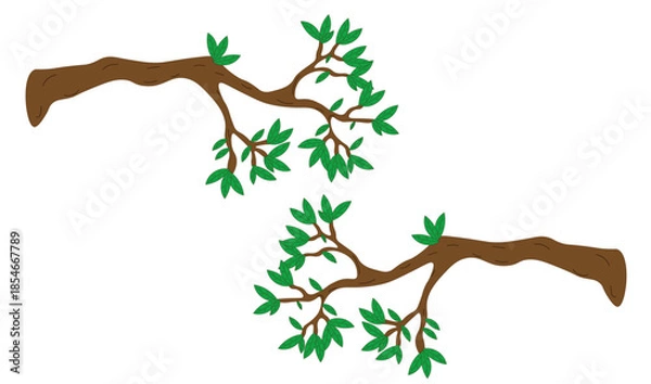 Fototapeta two tree branches on a white background,