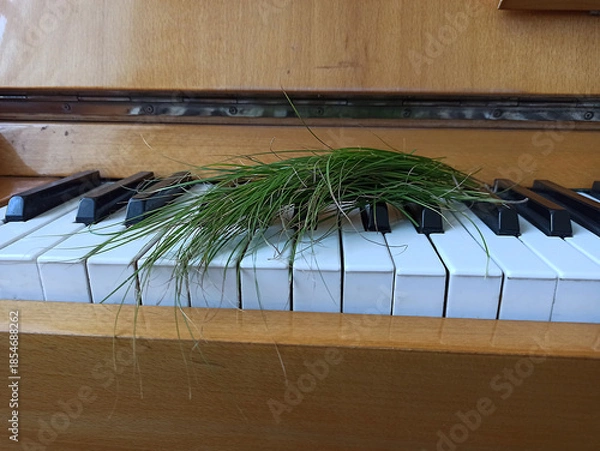 Obraz old abandoned piano close up