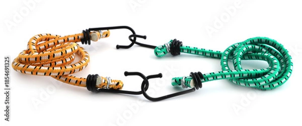 Obraz Elastic Luggage Straps