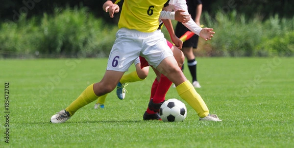 Fototapeta サッカー　フットボール