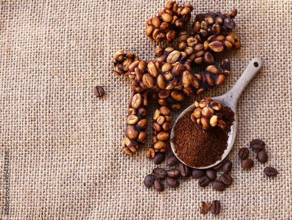 Obraz Luwak coffee beans are a rare and expensive delicacy
