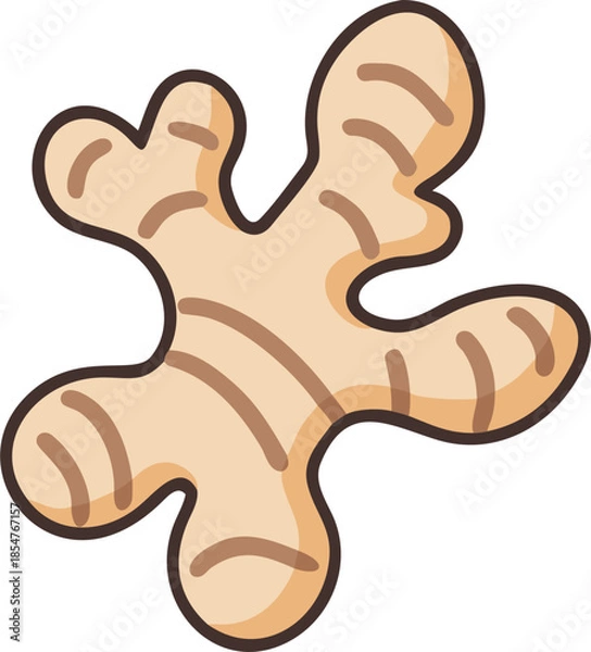 Fototapeta ginger vector illustration