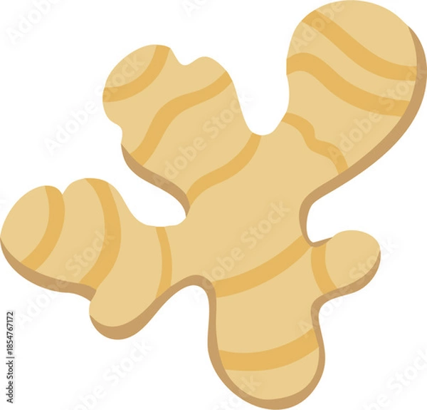 Fototapeta ginger vector illustration