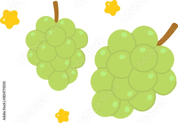 Obraz Cute Green Grape