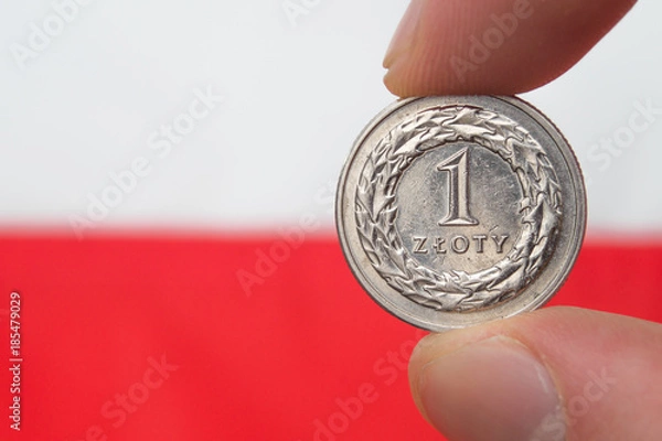 Obraz Polish coin on polish flag background