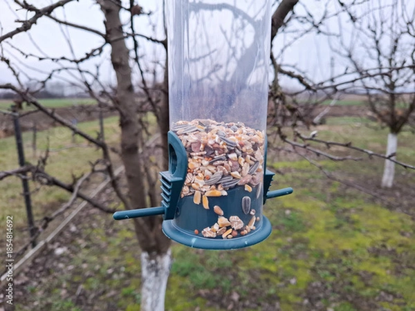 Obraz Bird feeder hanging in the tree