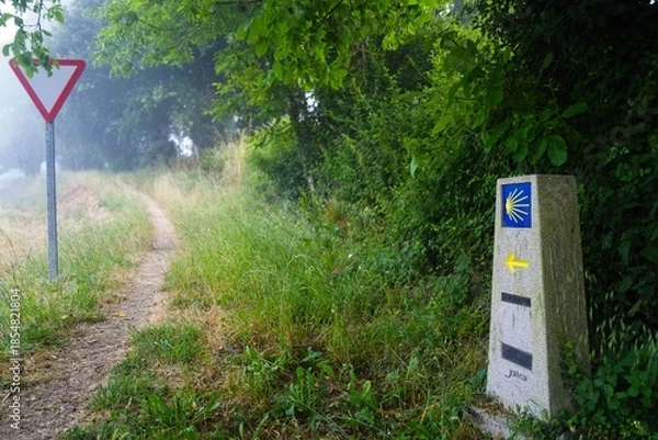 Obraz 기호, 길거리, 나무, 네이처, 포스트, 경로, 교통, 공원, green, 여행, 아웃도어, 경관, 나이든, 목초, 속도, sky, 개, 방향