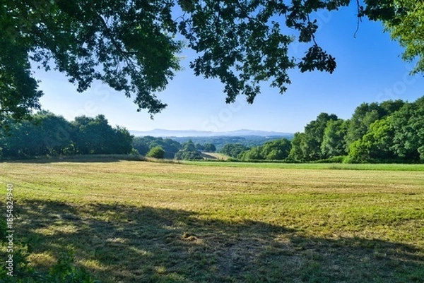 Obraz sky, 목초, 경관, 들판, green, 네이처, 목초지, 나무, blue, 여름, 봄, 구름, 농촌, 수평선, 고개, 경작, 시골, 농장, 국가, 계절, 대지, beautiful, 명랑한