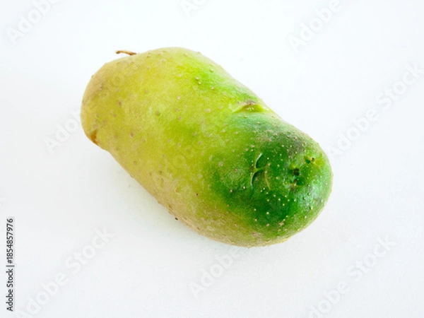 Fototapeta ソラニン・チャコニンの毒素で緑色に変色したじゃがいも