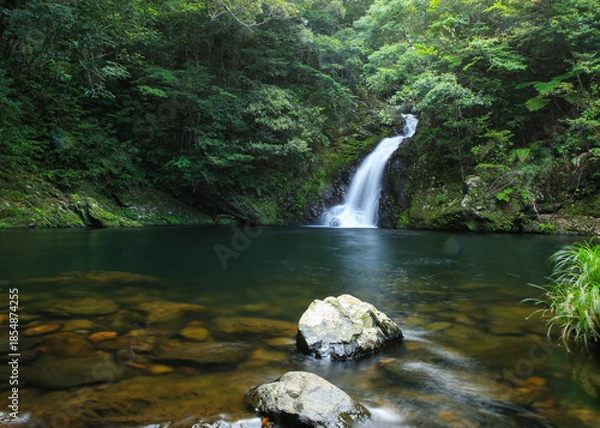 Obraz 奄美の生き物