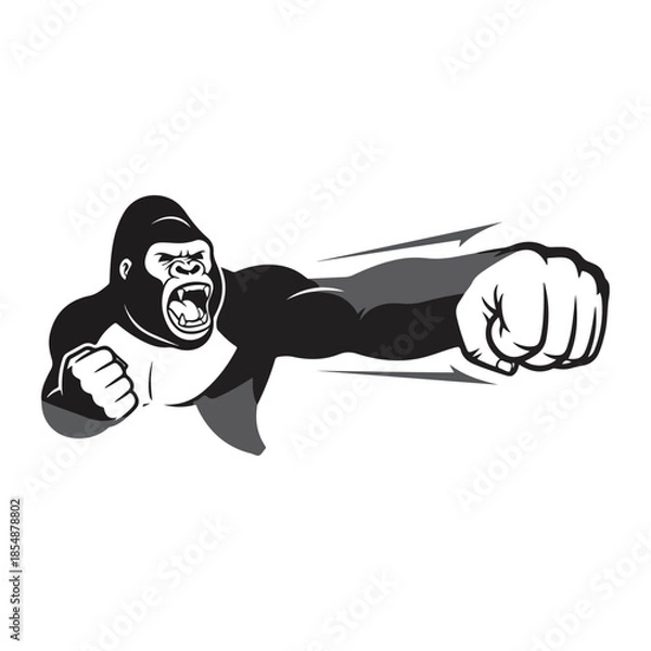 Fototapeta Aggressive ape gorilla punching forward action pose.