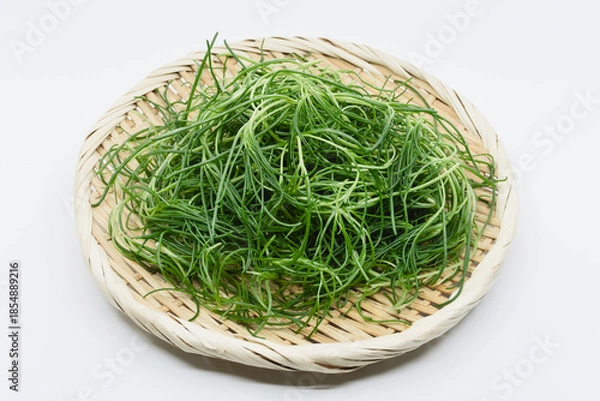 Obraz おかひじき　白背景