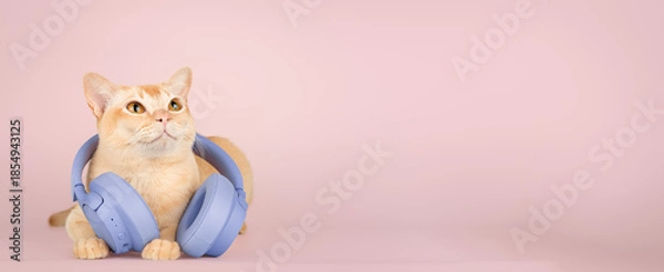 Obraz A ginger cat with wireless headphones