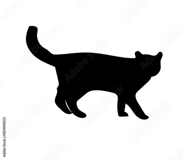 Obraz black cat silhouette