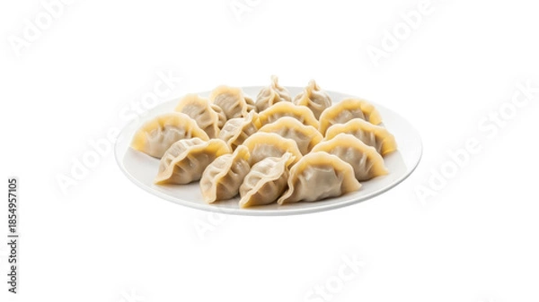 Obraz Plate of Dumplings