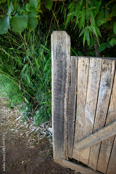 Obraz The bamboo garden in open