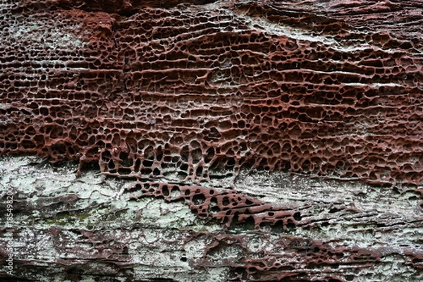 Obraz Buntsandstein bei Hauenstein
