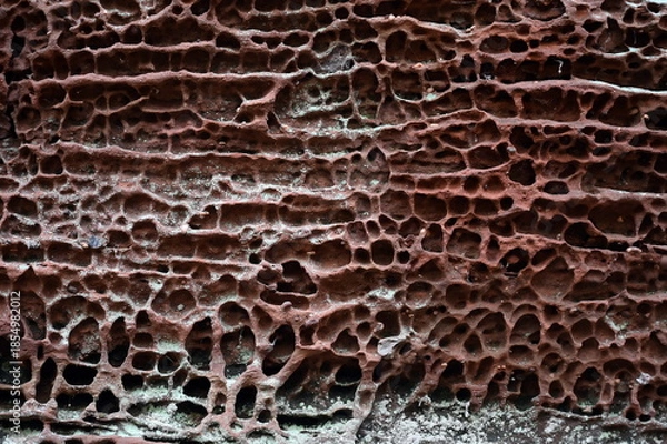 Obraz Buntsandstein bei Hauenstein