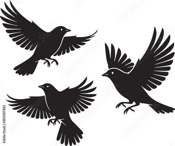 Obraz Adobe Illustrator Artwork