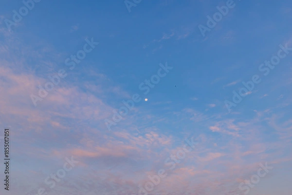 Fototapeta 朝焼けと月