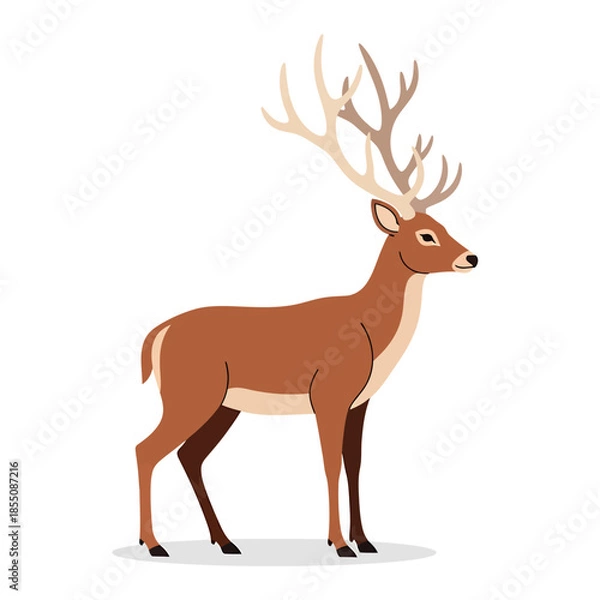 Obraz Irish Elk, vector illustration design