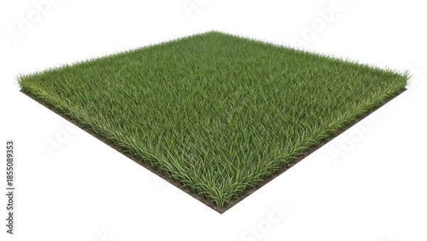 Obraz Realistic Square Grass Patch with Transparent Background