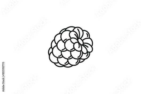 Obraz Simple Raspberry Line Art, Outline Style on White Background Berry Icon