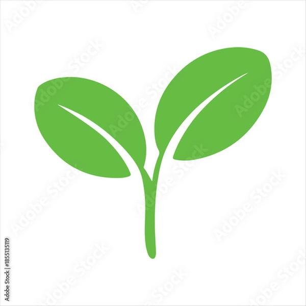 Fototapeta A vibrant green sprout with two rounded leaves symbolizing new growth