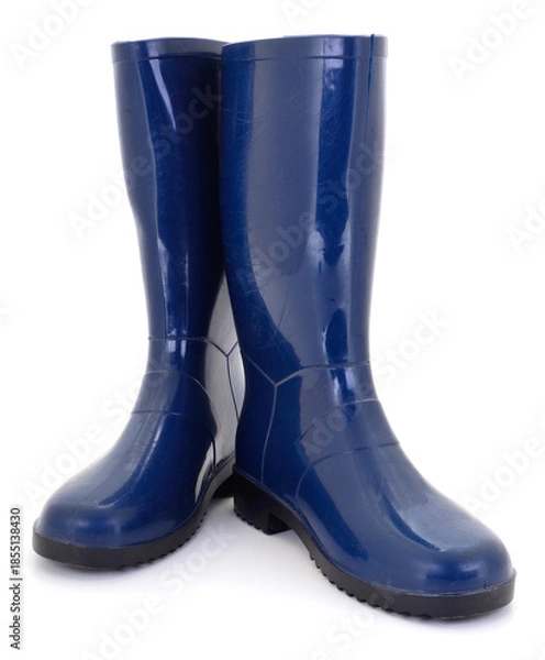 Obraz Blue rubber boots isolated on white