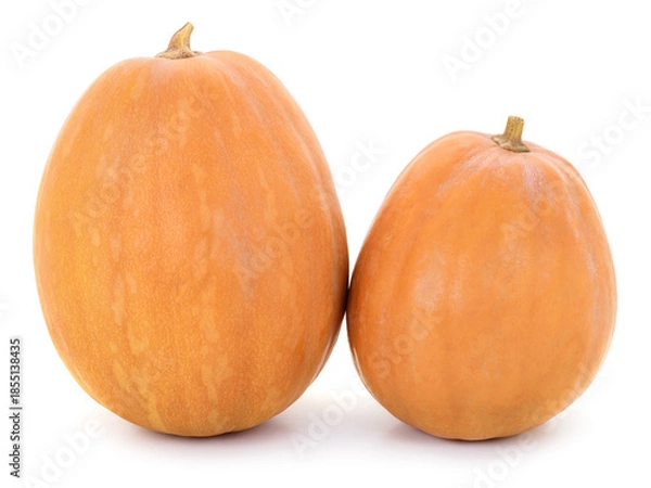 Obraz Two orange pumpkins isolated on white background