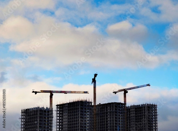 Fototapeta Three building cranes on a construction site background