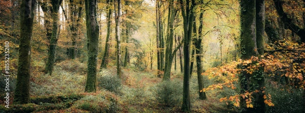 Obraz idless autumn panorama cornwall uk 