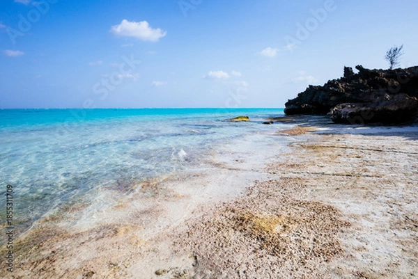 Obraz 与論島の海